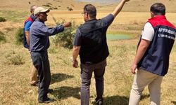 Afyonkarahisar'da Kırsal Kalkınma Hamlesi: Ekipler Sahada Mera İncelemelerini Sürdürüyor!
