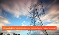 Afyon'da 2 Ağustos'ta Elektrikler Saatlerce Kesilecek: İlçe İlçe Program Yayımlandı!