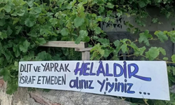 Bahçesine astığı yazıyla gündem oldu! Eski belediye başkanından örnek davranış