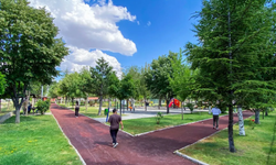 Afyonkarahisar'da Parklar Baştan Sona Yenileniyor! Belediye Çalışmalara Hız Verdi