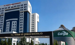 Tarım ve Orman Bakanlığı 1.874 personel alımı ne zaman? Başvuru şartları ve kadro dağılımı belli oldu mu?