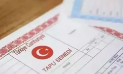 Yargıtay'dan emsal miras kararı! Dedesine bakmayan torun arsayı kaybetti