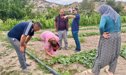 Afyonkarahisar'da üretim alanları yakın takipte: Teknik ekipler üreticileri bilgilendirdi