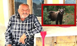 Evinin Önünde Uyurken Ayı Saldırısına Uğrayan Vatandaş Hayatını Kaybetti!