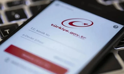 e-Devlet'te Yeni Hizmet: Tüm Ödeme ve Elektronik Para Hesapları Tek Ekranda Toplandı