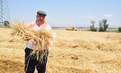 Afyonkarahisar tarımında kriz çanları: "Samanın kilosu 2 lira, onu bile alan yok!"