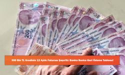 300 Bin TL Kredinin 12 Aylık Faturası Şaşırttı: Banka Banka Geri Ödeme Tablosu!