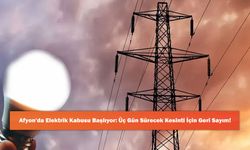 Afyon'da Elektrik Kabusu Başlıyor: Üç Gün Sürecek Kesinti İçin Geri Sayım!