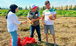 Afyonkarahisar’da tarlalar mercek altında: Hastalık ve zararlı denetimleri sürüyor