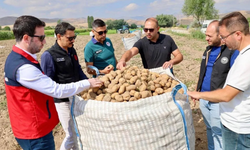 Şuhut’ta patates tarlalarında hasat mesaisi yerinde takip edildi