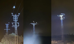 Afyonkarahisar’da leyleklerin göç yolculuğu bazı bölgeleri elektriksiz bıraktı