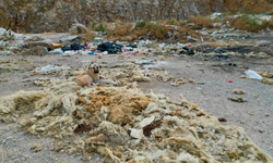 Bolvadin’de eski kum ocağı çöplüğe döndü: Ağır koku bölgeyi sardı!