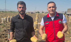 Dinar Çölovası’nda patates tarlaları hareketlendi: Üreticinin yüzünü bu kez talep güldürdü
