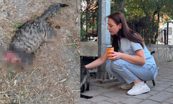 Dehşete Düşüren Olay! Sabah Kapıyı Açan Aile Gördüğü Manzara Karşısında Şoke Oldu!