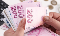 Ehliyeti olan yaşadı! 250 bin liraya çalışacak işçi aranıyor