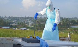 Ebola Virüsü Nedir? Türkiye’de Ebola Vakası Var Mı? İşte Merak Edilenler