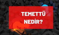 Temettü nedir, nasıl alınır? Temettü hisseleri yatırımcıya nasıl kazandırır?