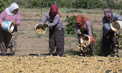 Bu işi yapacak çalışanlar aranıyor: Maaş 110 bin TL!