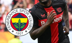 Fenerbahçe'nin yeni golcüsü geliyor! İşte Fenerbahçe'nin yeni forveti...