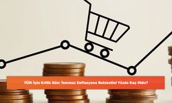 TÜİK İçin Kritik Gün: Temmuz Enflasyonu Beklentisi Yüzde Kaç Oldu?