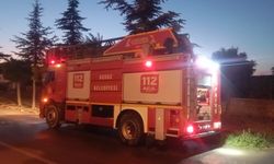 Rüzgar Alevleri Tetikledi! Susuz Beldesi’nde Yerleşim Yerleri Tehlikede Mi?