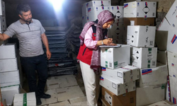 Afyonkarahisar'da zirai ilaç bayilerine sıkı kontrol: Ürünler ve belgeler denetlendi