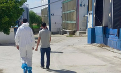 Bolvadin’de kanatlı hayvan işletmeleri mercek altında