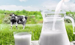 Resmi Gazete'de yeni dönem! Süt sektöründe çalışanları ilgilendiren karar yayımlandı