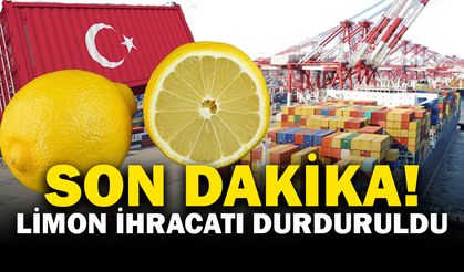 Son Dakika! Ticaret Bakanlığı açıkladı: Limon ihracatı durduruldu