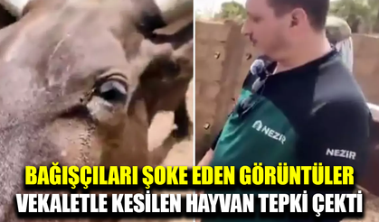 Vekaletle kesilen kurban tepki çekti
