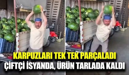 Üretici fiyatlara isyan etti, karpuzları tarlada parçaladı