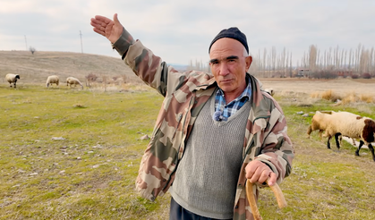 Bir Koyunla Başladı, 250 Koyunluk Sürüye Ulaştı: Kadir Bayram’ın Hayat Hikayesi