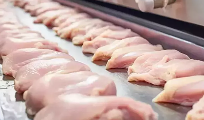 Son Dakika! Ticaret Bakanlığı'ndan Tavuk Eti Kararı: Fiyat Artışı Sonrası İhracat Yarın Durduruluyor
