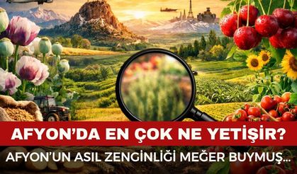 Afyonkarahisar’da en çok ne yetişir?