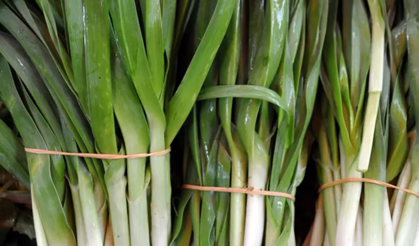 En Güzel Ot Yemeği Belli Oldu