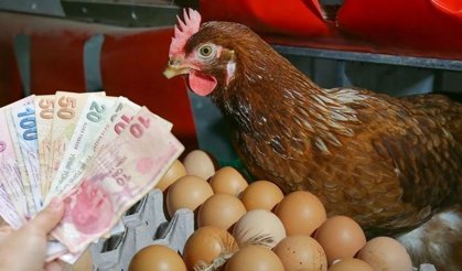 O markette 30'lu yumurtanın fiyatı düştü! Sadece yetişen alıyor