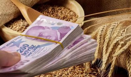 Buğday alım fiyatları belli oldu mu? 2026 Hububat arpa ve buğday alımı fiyatları ne kadar?
