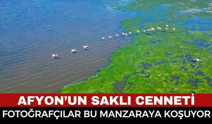 Afyonkarahisar’ın Saklı Cenneti Eber Gölü’nde Görsel Şölen: Allı Turna Kameralara Yansıdı!