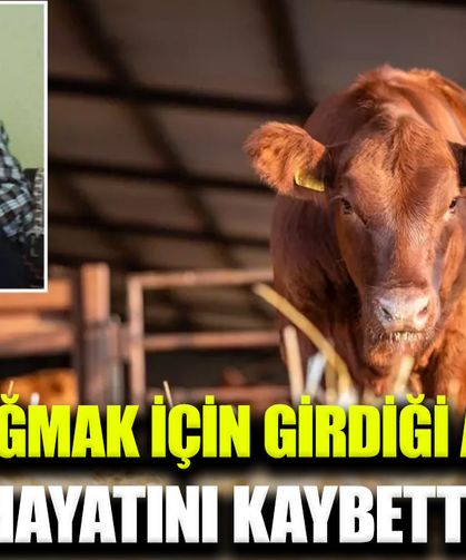 Süt sağmak için girdiği ahırda hayatını kaybetti
