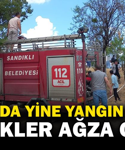 Sandıklı'da çıkan ot yangını paniğe neden oldu