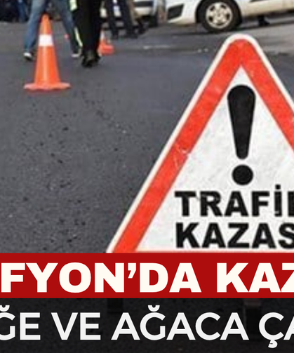 Otomobil aydınlatma direği ve ağaca çarptı