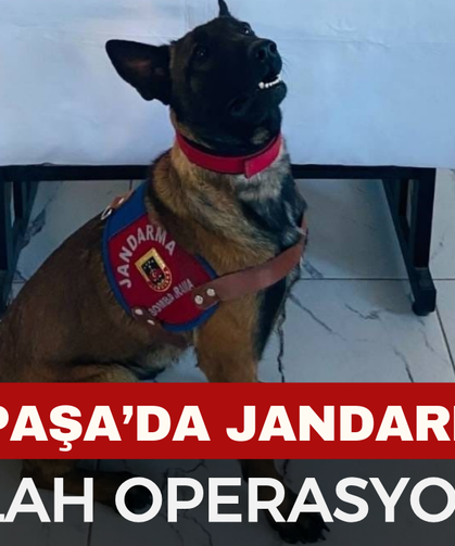 Sinanpaşa’da Jandarmadan Silah Operasyonu