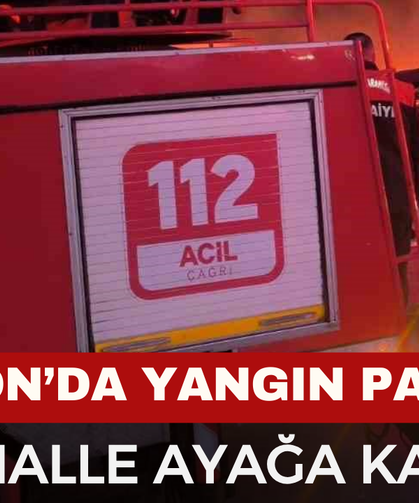 Son Dakika! Afyon'da Yangın Paniği!