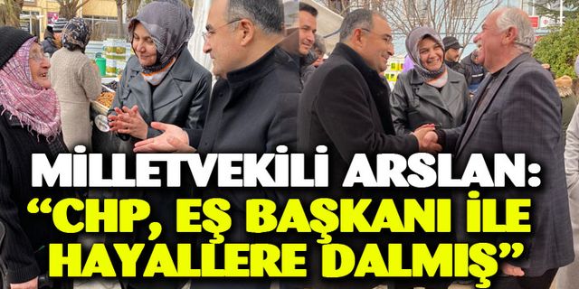 Milletvekili Arslan: "“CHP, eş başkanı ile hayallere dalmış”