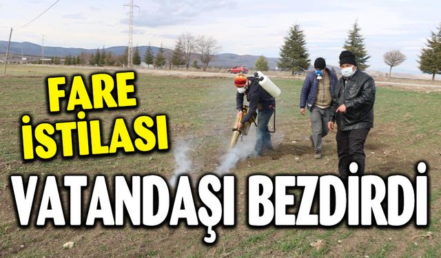 FARE İSTİLASI VATANDAŞI BEZDİRDİ