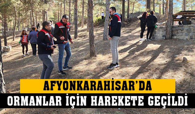 Afyonkarahisar’da ormanlar temizlendi