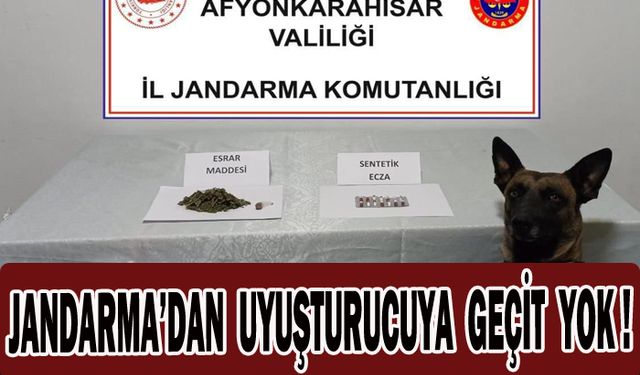 Jandarma uyuşturucu maddeler ele geçirdi