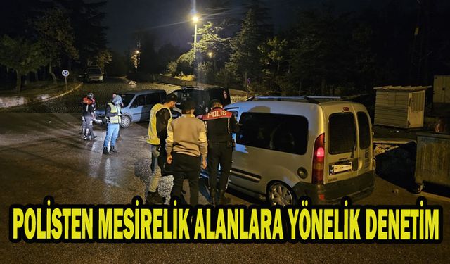 POLİSTEN MESİRELİK ALANLARA YÖNELİK DENETİM