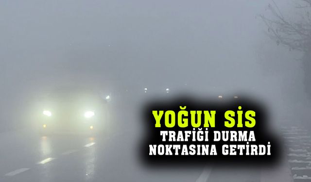 Sisli hava hayatı durma noktasına getirdi