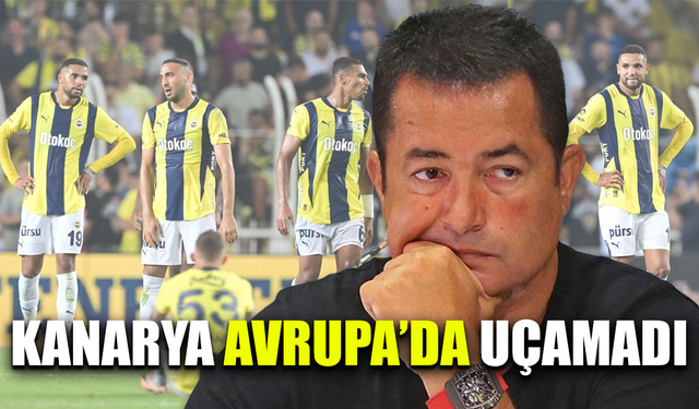 Kanarya Avrupa'da uçamadı